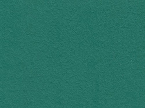 Volvox | Espressivo Lehmfarbe | Preisgruppe E Größe 0,9 L, Farbe tannengrün | 251 von ecotec Naturfarben GmbH