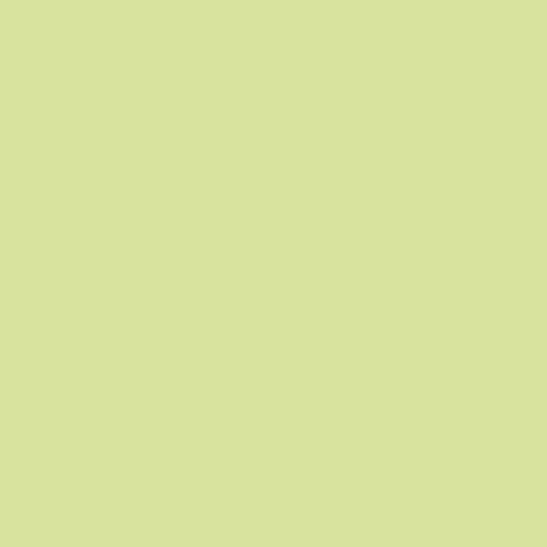 Volvox Espressivo Lehmfarbe - atmungsaktive Wandfarbe matt - hohe Deckkraft - streichfertige Naturfarbe kiwi 5 L von ecotec Naturfarben GmbH