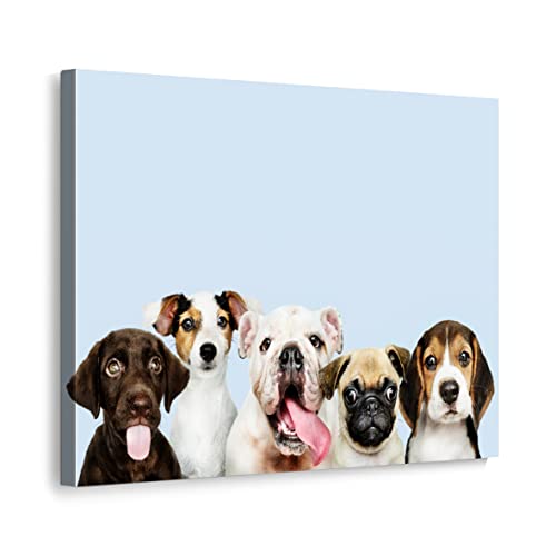 ecowalls Bilder Hund - Hunde - Hündchen - Rassehund - 60x80 cm - Vlies Leinwandbild - Leinwand Bilder - Wandbilder Wohnzimmer, Schlafzimmer Modern - Wandbild XXL - Bilder Wohnzimmer, Schlafzimmer von ecowalls