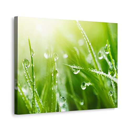 ecowalls Bilder Natur - 60x80 cm - Vlies Leinwandbild - Leinwand Bilder - Wandbilder Wohnzimmer, Schlafzimmer Modern - Wandbild XXL - Bilder Wohnzimmer, Schlafzimmer von ecowalls