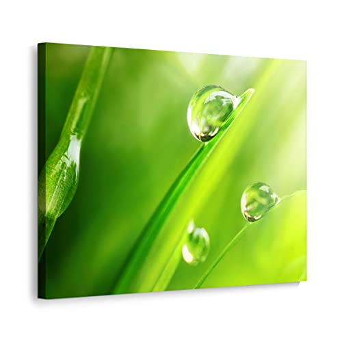 ecowalls Bilder Natur - 60x80 cm - Vlies Leinwandbild - Leinwand Bilder - Wandbilder Wohnzimmer, Schlafzimmer Modern - Wandbild XXL - Bilder Wohnzimmer, Schlafzimmer von ecowalls