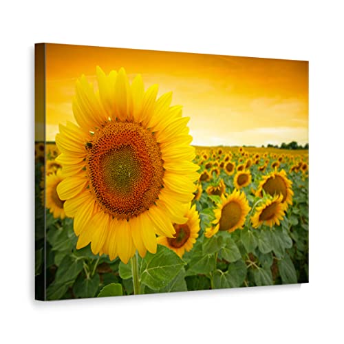 ecowalls Sonnenblumenbilder - Sonnenblumen Bild - 110x80 cm - Vlies Leinwandbild - Leinwand Bilder - Wandbilder Wohnzimmer, Schlafzimmer Modern - Wandbild XXL - Bilder Wohnzimmer, Schlafzimmer von ecowalls