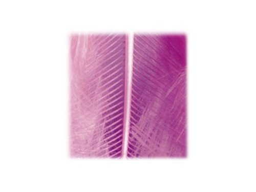 Efco 1004335 Marabufeder pink 80-100mm 2 g 20 St. von efco