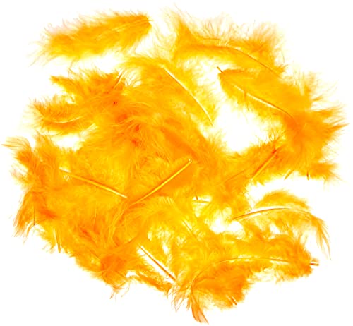 Efco Marabufeder 100-120 mm 2 g ~ 20 St. Orange, Federn, 12 x 5 x 2 cm Efco Marabufeder 100-120 mm 2 g ~ 20 St. Orange, Federn, 12 x 5 x 2 cm von efco