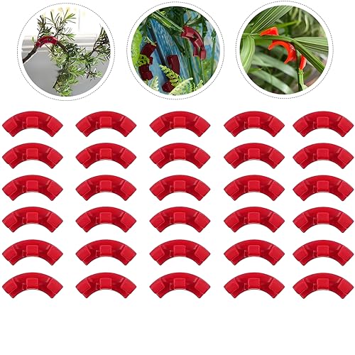 ehomiiii 30 STK. Pflanzenwachstums-Bieger-Clips Set - Kräftige Garten-Pflanzen-Unterstützung, 90-Grad-Kletterpflanzen-Befestigung, Befestigungsclips für Pflanzenzweige ehomiiii 30 STK. Pflanzenwachstums-Bieger-Clips Set - Kräftige Garten-Pflanzen-Unterstützung, 90-Grad-Kletterpflanzen-Befestigung, Befestigungsclips für Pflanzenzweige von ehomiiii
