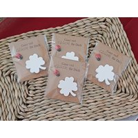 Glücksbringer Gastgeschenk Kleeblatt " Ganz Viel Glück Für Dich Marienkäfer Mitbringsel Geschenk Hochzeit Geburtstag Ruhestand von einfachsonja