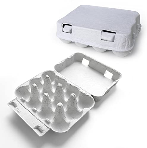 eivolution 12er Wachteleierschachteln aus Pappe |1 Stück | Eierkartons für Wachteleier aus Recycling Material eivolution 12er Wachteleierschachteln aus Pappe |1 Stück | Eierkartons für Wachteleier aus Recycling Material von eivolution