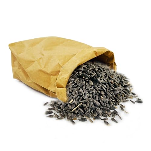 Eivolution Bio-Sonnenblumenkerne 800g - Probiergröße – Ideal für Meisenknödel & Futterspender – Hühner- & Wildvogelfutter – Natürlich, Energiereich, Gentechnikfrei, Winterfutter Eivolution Bio-Sonnenblumenkerne 800g - Probiergröße – Ideal für Meisenknödel & Futterspender – Hühner- & Wildvogelfutter – Natürlich, Energiereich, Gentechnikfrei, Winterfutter von eivolution