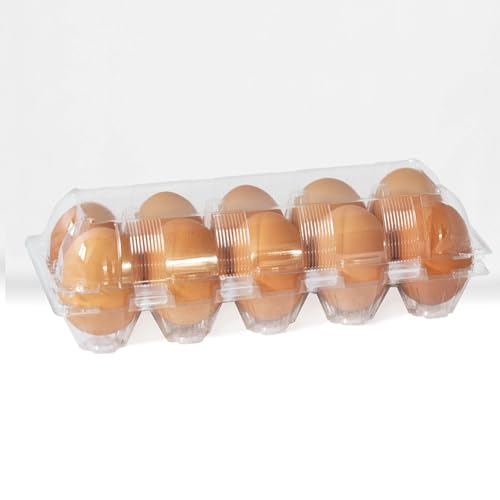 eivolution ClearPack 10er Eierschachtel für Hühnereier in den Größen S, M & L |Recycelt | Kunststoff | Platzsparend stapelbare Eierkartons |1 Stück von eivolution