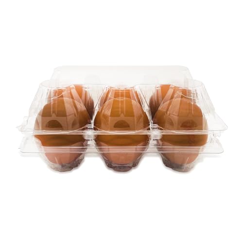 eivolution ClearPack 6er Eierschachtel für Hühnereier in den Größen S, M & L - Recycelt - Kunststoff - Platzsparend stapelbare Eierkartons - 100 Stück von eivolution