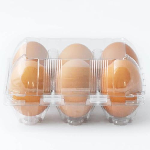 eivolution ClearPack 6er Eierschachtel für Hühnereier in den Größen S, M & L |Recycelt | Kunststoff | Platzsparend stapelbare Eierkartons |30 Stück von eivolution