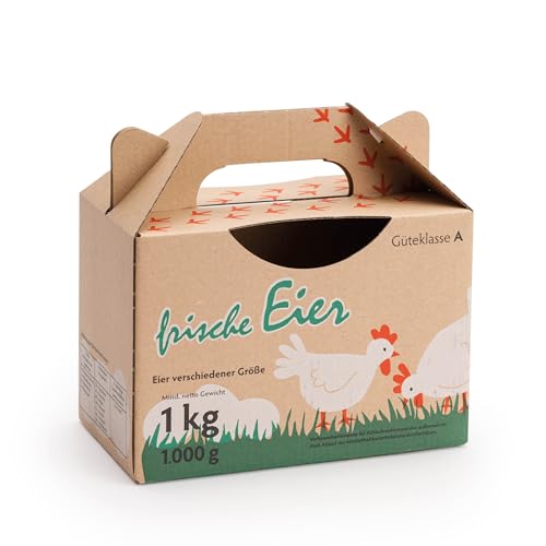 eivolution Eierbox für bis zu 25 Eier - 200 Stück - Eierkarton für Hühnereier in den Größen S, M & L - mit Aufdruck von eivolution