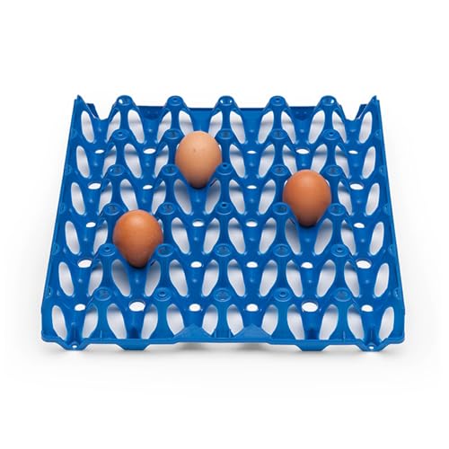 eivolution Eierhorden aus Plastik für 30 Eier | 12 Stück | Wiederverwendbare Höckerlagen | Geeignet für Hühnereier in den Größen S, M,L & XL | Blau | ideal zum Trasport und Lagerung von eivolution