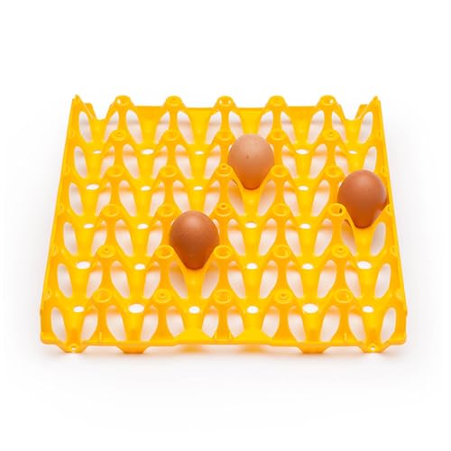 eivolution Eierhorden aus Plastik für 30 Eier | 60 Stück | Wiederverwendbare Höckerlagen | Geeignet für Hühnereier in den Größen S, M,L & XL | Gelb | ideal zum Transport und Lagerung von eivolution