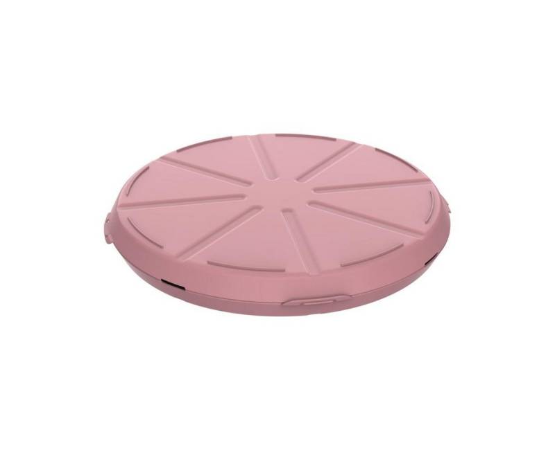 elasto Aufbewahrungssystem Pizzabox 'ToGo' robuste Transportbox Ø 36 cm für unterwegs elasto Aufbewahrungssystem Pizzabox 'ToGo' robuste Transportbox Ø 36 cm für unterwegs von elasto