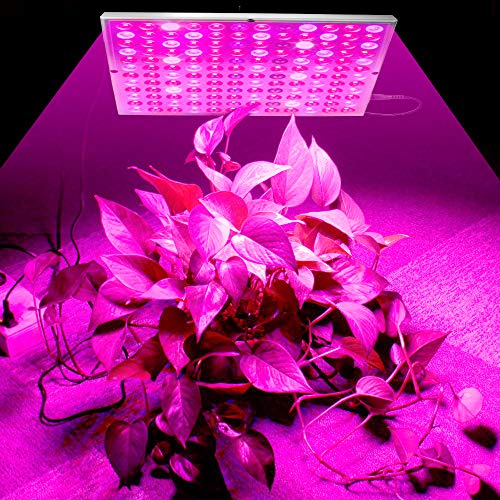 45W LED Pflanzenlampe Grow Light für Zimmerpflanzen Wachstumslampe 144 LEDs UV IR Rot Blau Vollspektrum Pflanzenlichter Panel für Hydrokultur Gewächshaus Keimling Gemüse und Blume von ele ELEOPTION