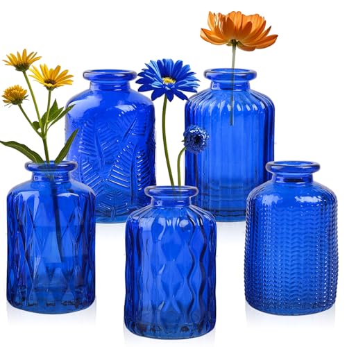 ELEGANTTIME Kobaltblaue Glasvase, kleine Blumenvase, Mini-Flasche mit Korkdrahtgriff, perfekt für Deko-Cafés, Bürotisch, Haus und Garten (Set 5) von eleganttime