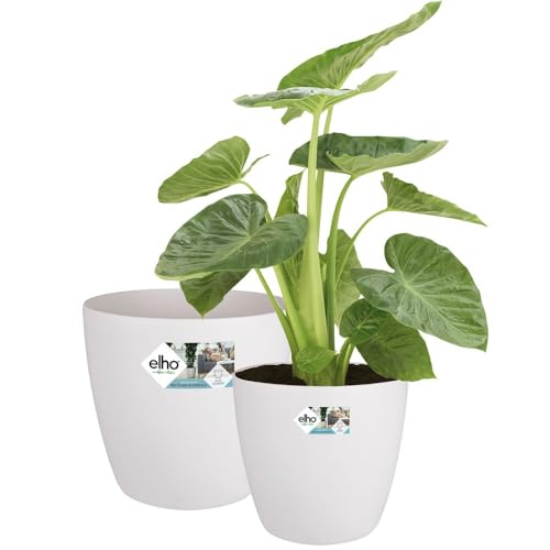 elho Brussels Rund Rollen - Blumentopfe für Innen - 100% recyceltem Plastik - 2er Set - Ø 35, 40 cm - Weiß/Weiss elho Brussels Rund Rollen - Blumentopfe für Innen - 100% recyceltem Plastik - 2er Set - Ø 35, 40 cm - Weiß/Weiss von elho