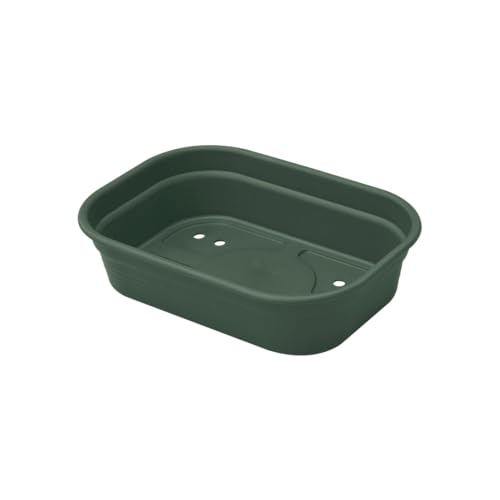 elho Green Basics Anzucht Schale 24 - Zubehör für Züchten und Ernten - Ø 24.0 x H 6.0 cm - Grün/Laubgrün von elho