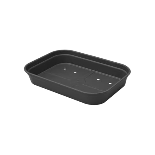 Elho Green Basics Anzucht Schale M - Lebhaft Schwarz - Drinnen & Draußen - L 36 x W 25.9 x H 6.3 cm Elho Green Basics Anzucht Schale M - Lebhaft Schwarz - Drinnen & Draußen - L 36 x W 25.9 x H 6.3 cm von elho