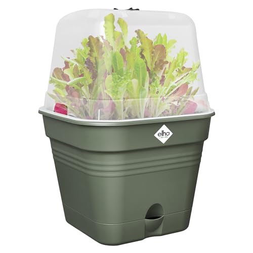 elho Green Basics Anzuchttopf Quadrat Allin1 30 - Anzuchtset - 100% recyceltem Plastik - Ø 29.6 x H 24.9 cm - Grün/Laubgrün von elho