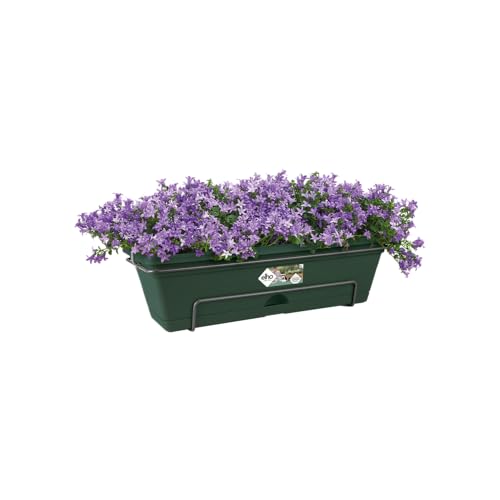 elho Green Basics Balkonkasten Allin1 70 - Übertopf für Balkon & Außen - Ø 68.5 x H 16.5 cm - Grün/Laubgrün von elho