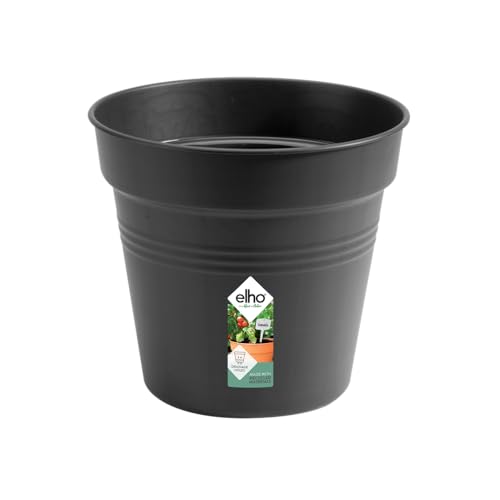 elho Green Basics Orchidee 17 - Blumentopf für Züchten und Ernten - Ø 17.0 x H 15.8 cm - Schwarz/Living Schwarz von elho