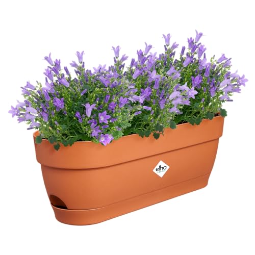 elho Vibia Campana Balkonkasten 50 mit Wasserreservoir - Blumentopf Balkon - 100% recyceltes Plastik - Ø 49.0 x H 17.0 cm - Braun/Terra elho Vibia Campana Balkonkasten 50 mit Wasserreservoir - Blumentopf Balkon - 100% recyceltes Plastik - Ø 49.0 x H 17.0 cm - Braun/Terra von elho