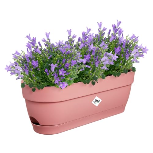 elho Vibia Campana Balkonkasten 50 mit Wasserreservoir - Blumentopf Balkon - 100% recyceltes Plastik - Ø 49.0 x H 17.0 cm - Rosa/Puderrosa elho Vibia Campana Balkonkasten 50 mit Wasserreservoir - Blumentopf Balkon - 100% recyceltes Plastik - Ø 49.0 x H 17.0 cm - Rosa/Puderrosa von elho