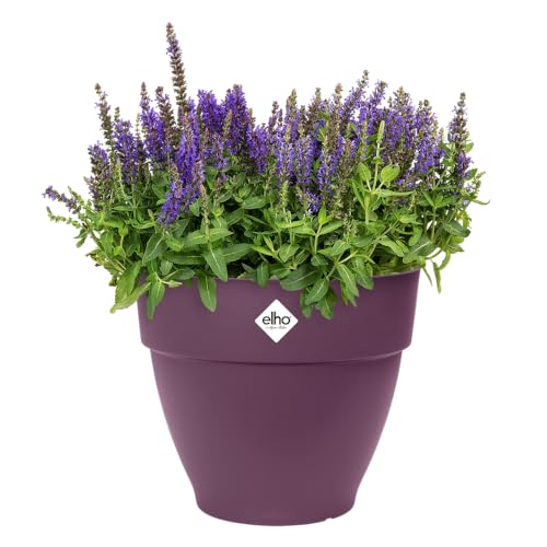 elho Vibia Campana Rund 35 - Blumentopf für Außen - Ø 34.5 x H 29.7 cm - Lila/Ahorn Lila elho Vibia Campana Rund 35 - Blumentopf für Außen - Ø 34.5 x H 29.7 cm - Lila/Ahorn Lila von elho