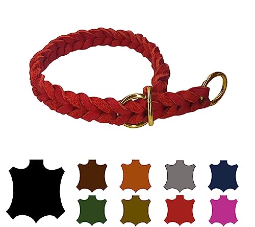 Hundehalsband Fettleder/Halsband ZugStopp Messing/kleine Hunde & große Hunde / 15mm / 20mm / 25mm / XXS - XL (45 Breite: 25mm, Rot) von elropet