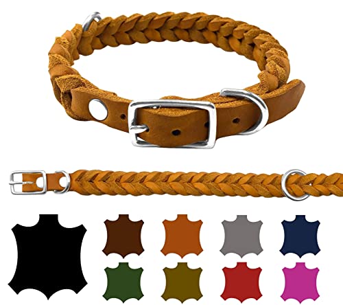 Hundehalsband Fettleder kleine Hunde/große Hunde verstellbar handgeflochten Made IN Germany (XL 47cm-53cm Breite:25mm, Cognac) von elropet