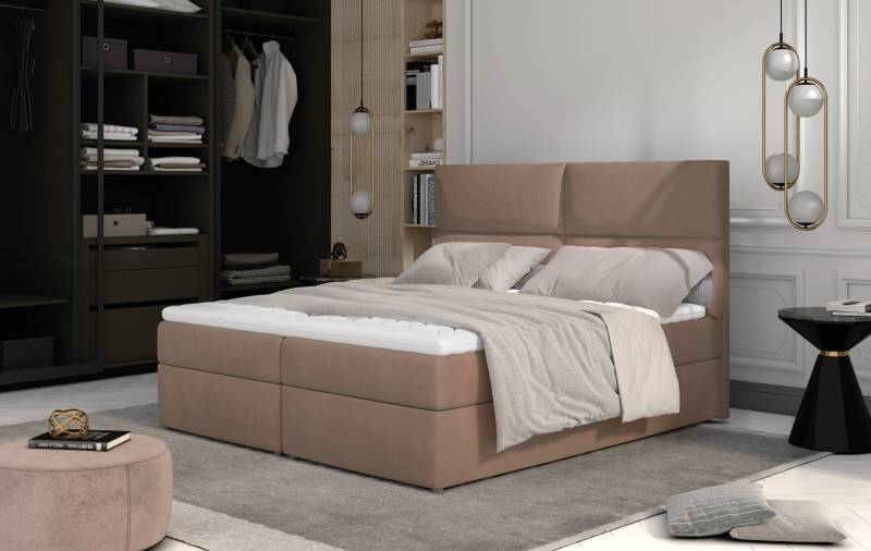 Boxspringbett Amber – Luxuskomfort und Flexibilität in 3 Farben und Größen Boxspringbett Amber – Luxuskomfort und Flexibilität in 3 Farben und Größen von eltap