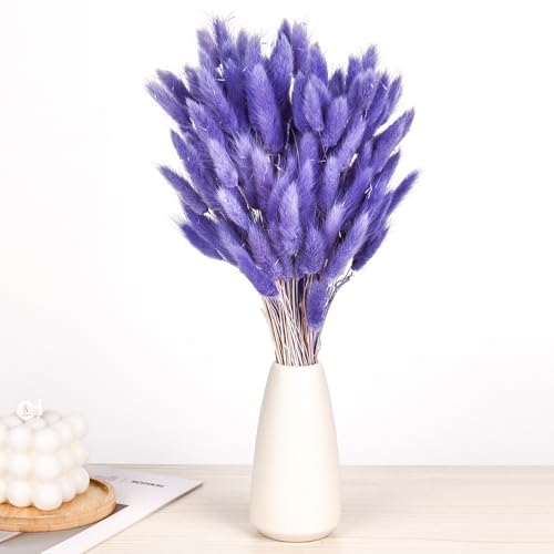 Pampasgrasdekoration 120 Stück Trockenblumen Klein Pampasgras 30cm Hasenschwanz Trocken Blumen für Vase Hoteldekoration Deko Lila von elthmpr