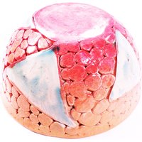 Moderne Schale, Herbstfarben, Handgemacht, Handgeformt, Besteht Aus Kleinen Tonkugeln, Handgefertigte Keramik, Embeceramics Moderne Schale, Herbstfarben, Handgemacht, Handgeformt, Besteht Aus Kleinen Tonkugeln, Handgefertigte Keramik, Embeceramics von embeCeramics