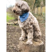 Hundehalstuch Aus Musselin in Verschiedenen Farben Und Aufdrucken | Siebdruck Weicher Stoff Handmade von emmaundhugo