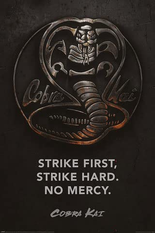 Cobra Kai - Metal - Poster Plakat Druck - Größe 61x91,5 cm + 1 Korkplatte 61x91,5x1,0 cm - Naturprodukt von empireposter