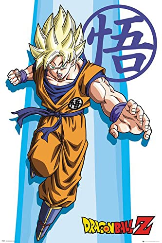 Dragon Ball Z 3 Gokus Evo - Manga Anime Poster Plakat Druck - Größe 61x91,5 cm + Wechselrahmen, Shinsuke® Maxi Aluminium Silber, Acryl-Scheibe von empireposter