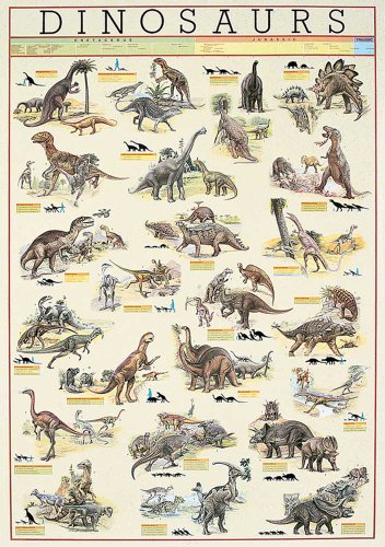 Educational - Bildung Dinosaurier - Dinosaurs Bildungsposter Plakat Druck - Version in Englisch - Grösse 68x98 cm von empireposter