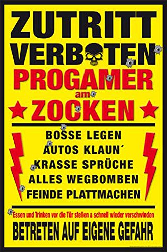 Gaming - Poster - Progamer am Zocken + Ü-Poster von empireposter