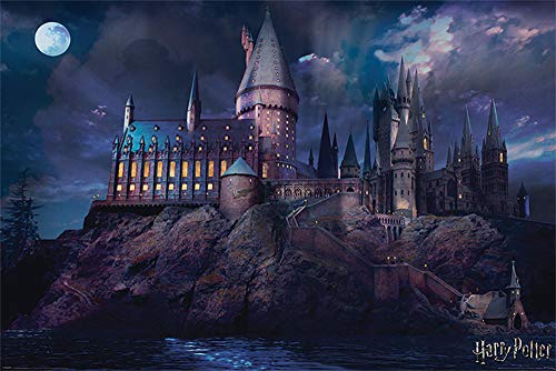 Harry Potter - Hogwarts - Schloss - Film Kino Movie Plakat Poster Druck - Größe 91,5x61 cm + 2 St Posterleisten Alu 93,5 cm von empireposter