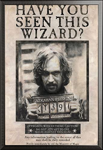 Harry Potter - Sirius Black - Film Kino Poster Druck - Grösse 61x91,5 cm + Wechselrahmen, Shinsuke® Maxi Aluminium schwarz von empireposter