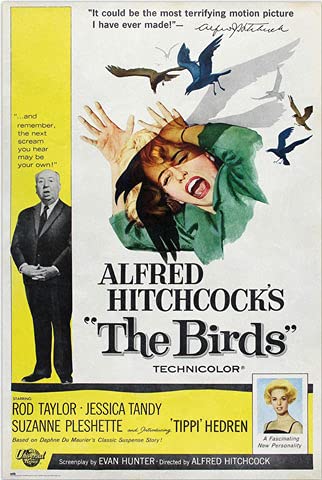 Hitchcock, Alfred - Poster - Die Vögel + Ü-Poster von empireposter