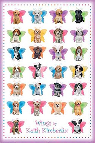 Kimberlin, Keith - Wings Dogs - Tier-Poster Hunde - Grösse 61x91,5 cm + 2 St Posterleisten Kunststoff 62 cm schwarz von empireposter