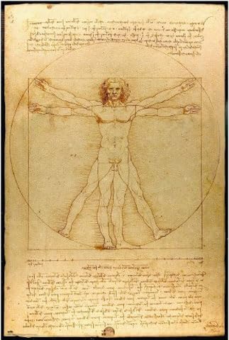 Leonardo da Vinci - Hombre de Vitruvio - Poster Kunstposter Druck - 61x91,5 cm von empireposter