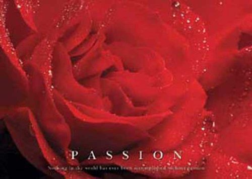 Motivational - Passion Rose - Natur Poster Foto Rosen - Grösse 86x61 cm von empireposter
