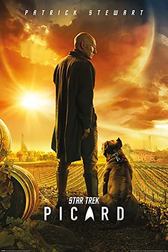 Star Trek - Picard Number One - Film Movie Poster Plakat Druck - Größe 61x91,5 cm + Wechselrahmen, Shinsuke® Maxi Aluminium schwarz von empireposter