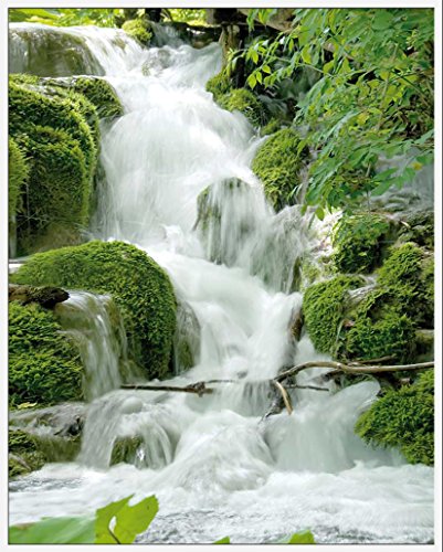 Wasserfälle - Feng Shui - Mini Poster Beach Poster Foto Wasserfall Wald - Grösse 50x40 cm + Wechselrahmen, Shinsuke® Maxi Kunststoff Weiss, Acryl-Scheibe von empireposter