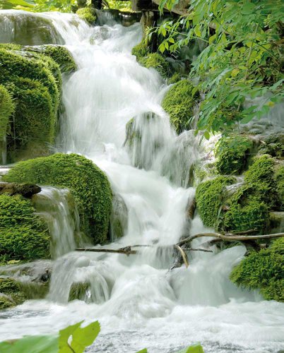Wasserfälle - Feng Shui - Mini Poster Beach Poster Foto Wasserfall Wald - Grösse 50x40 cm Wasserfälle - Feng Shui - Mini Poster Beach Poster Foto Wasserfall Wald - Grösse 50x40 cm von empireposter
