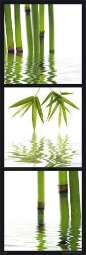 Zen - Bambus - Grün Motivation Steine Slim-Poster Druck - Grösse 30,5x91,5 cm von empireposter